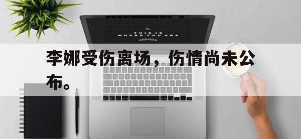 华体会官网-李娜受伤离场，伤情尚未公布。
