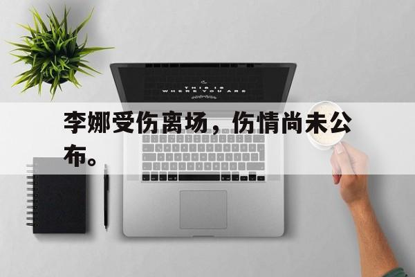 华体会官网-李娜受伤离场，伤情尚未公布。